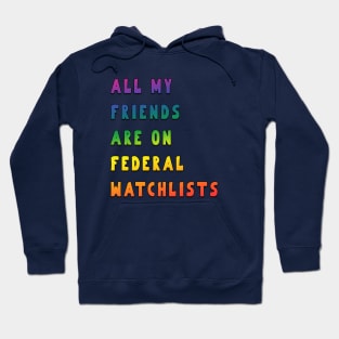 all my friends are on federal watchlists rainbow Hoodie